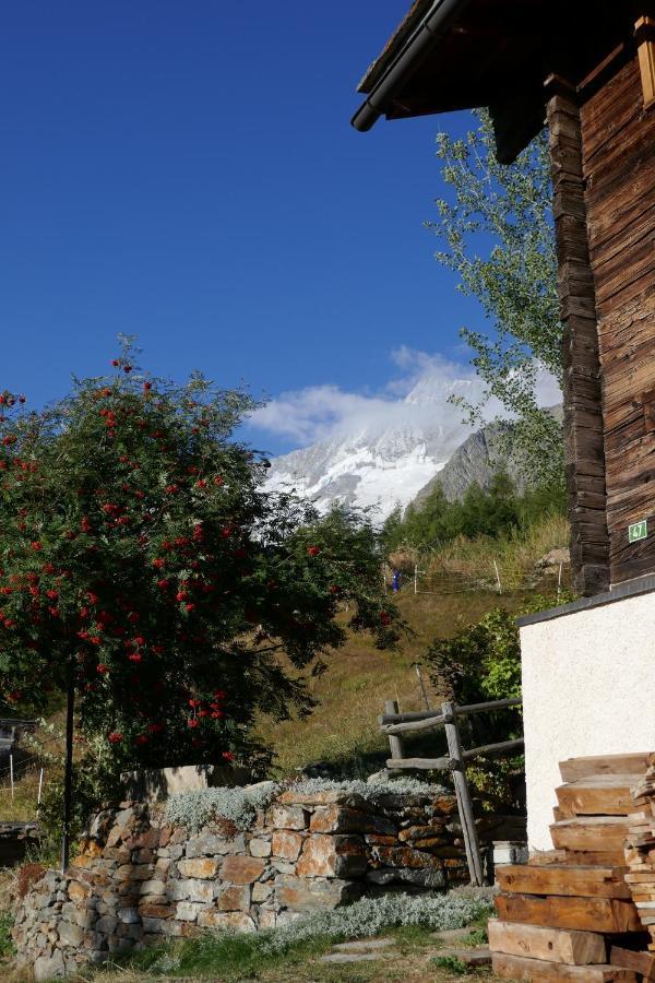 Chalet Birkhahn ซาสฟี ภายนอก รูปภาพ