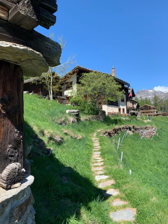 Chalet Birkhahn ซาสฟี ภายนอก รูปภาพ