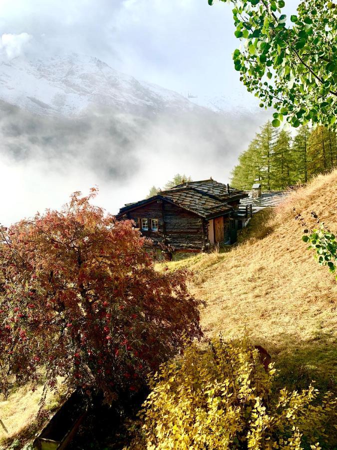 Chalet Birkhahn ซาสฟี ภายนอก รูปภาพ