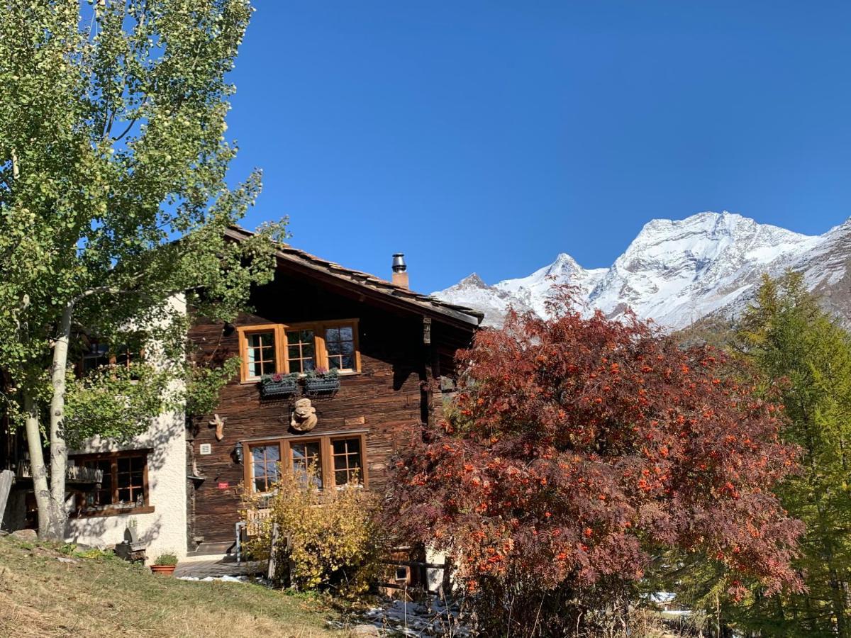 Chalet Birkhahn ซาสฟี ภายนอก รูปภาพ