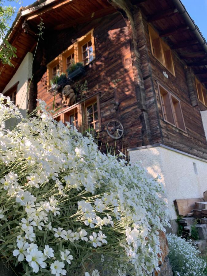 Chalet Birkhahn ซาสฟี ภายนอก รูปภาพ
