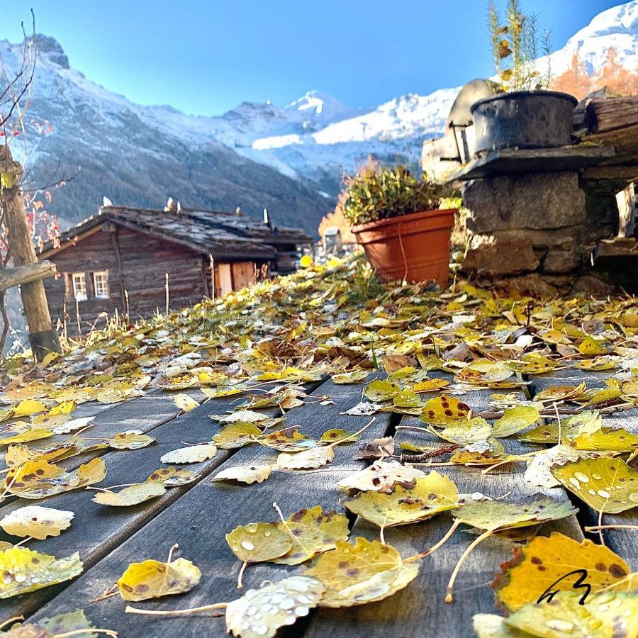Chalet Birkhahn ซาสฟี ภายนอก รูปภาพ